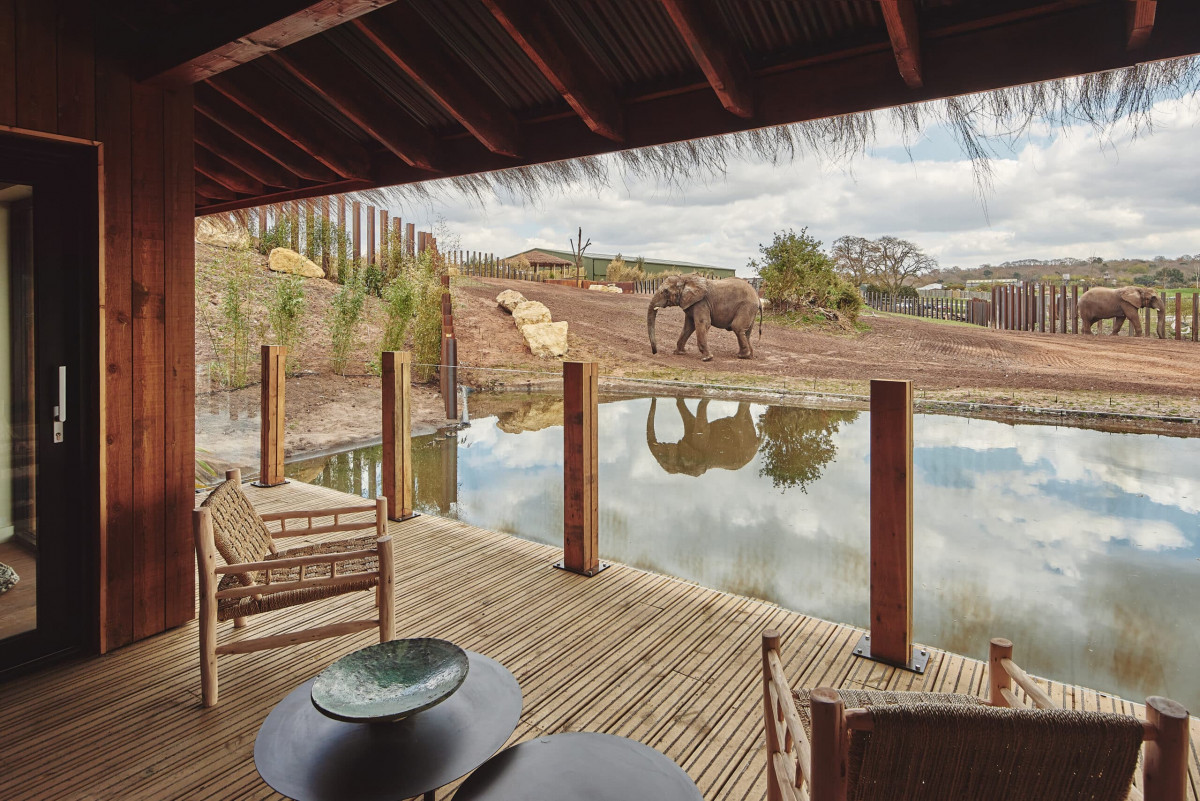 The Glass Balustrade Company