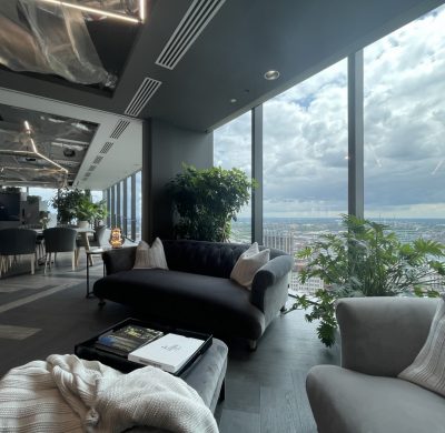 The Power of Houseplants; Enhancing Aesthetics and Wellness