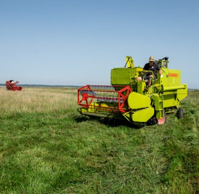 Increased Demand For Locally Sourced Wildflower Seed, says Bright Seeds