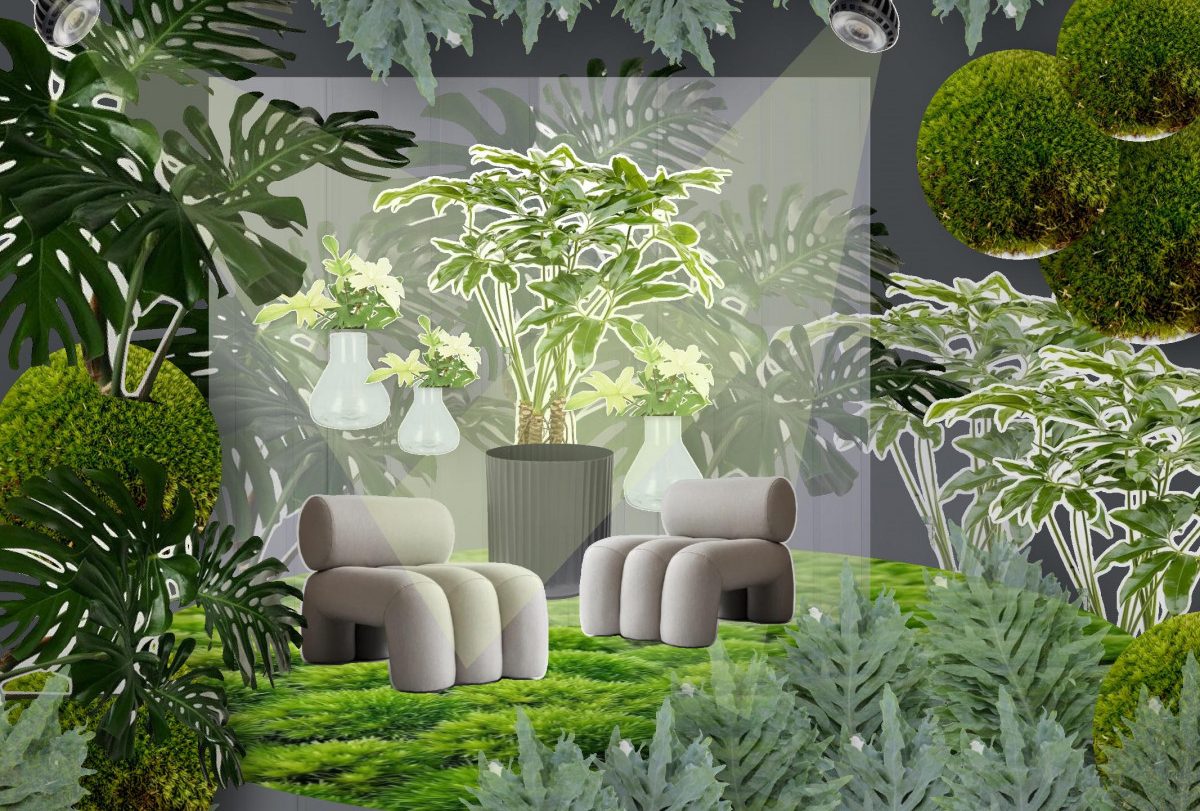 Houseplants Support Spaces for Mindfulness and Growth at RHS Chelsea Flower Show