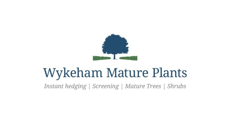 Wykeham Mature Plants