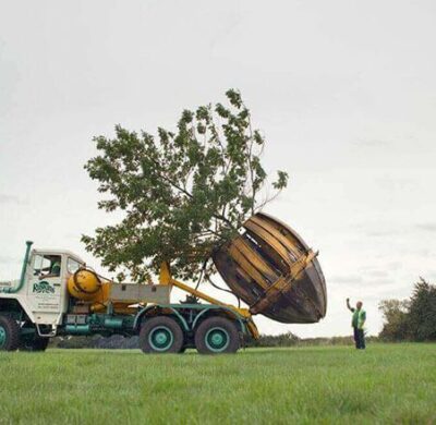 Relocating mature hedges and the living benefits for house builders