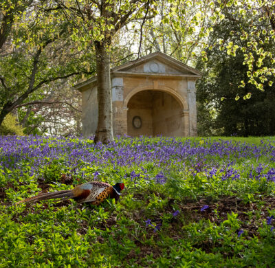 Spring and summer in bloom at Blenheim Palace for groups