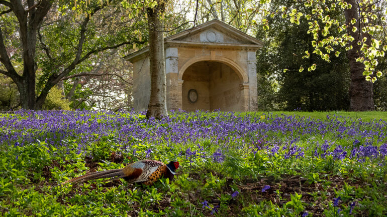 Spring and summer in bloom at Blenheim Palace for groups