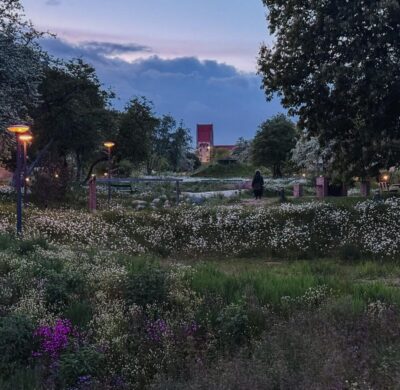 Form follows nature in Copenhagen’s new climate park