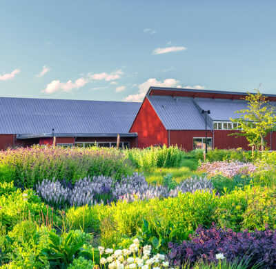  Piet Oudolf’s Garden
